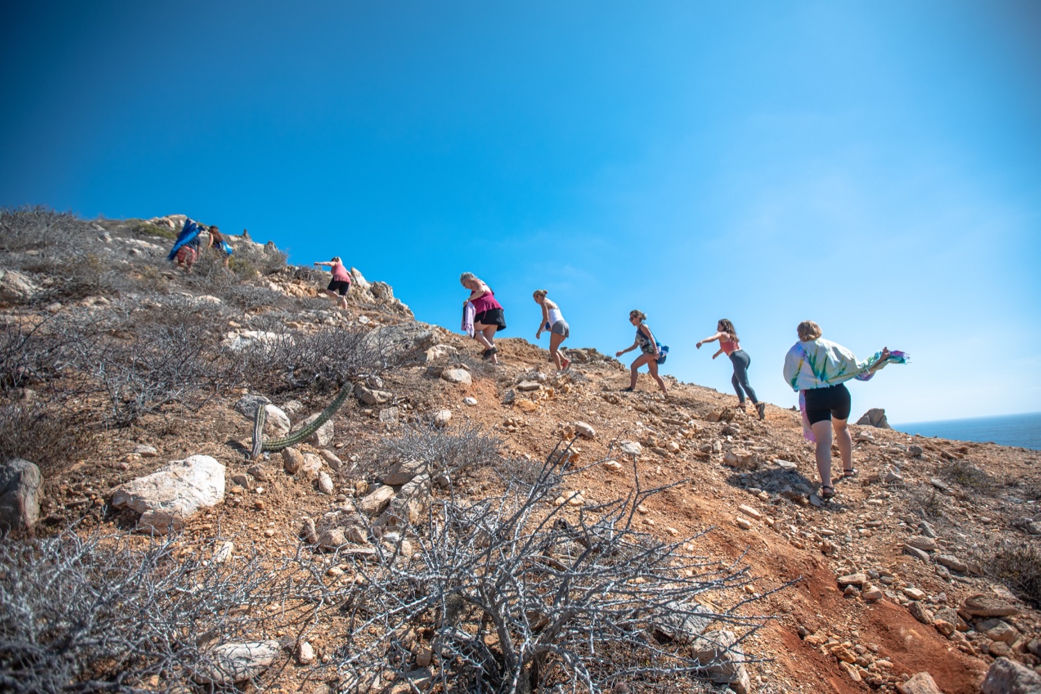 Group hiking above the ocean